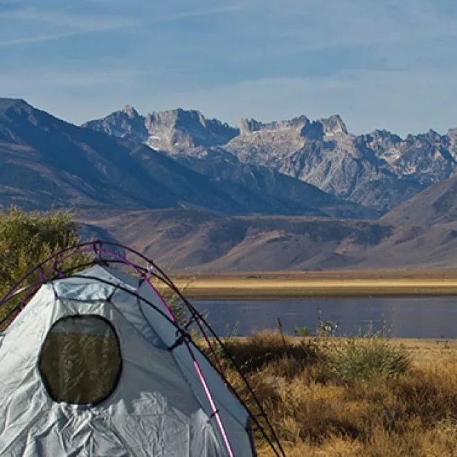 Paradise Shores Camp